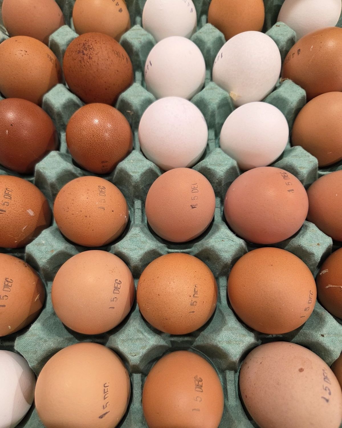 Eggs